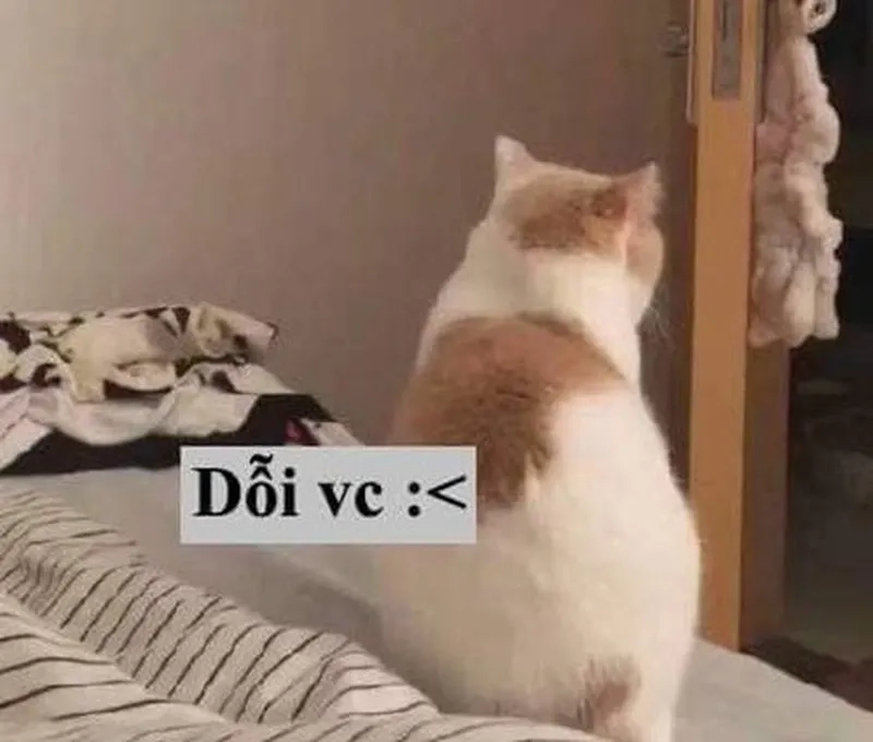 Meme uầy đáng yêu vậy trời mang lại tiếng cười cho những ai yêu thích hài hước