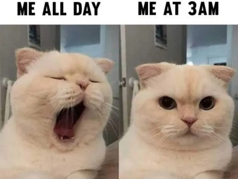 Meme abu uầy đáng yêu vậy trời khiến mọi người không thể nhịn cười