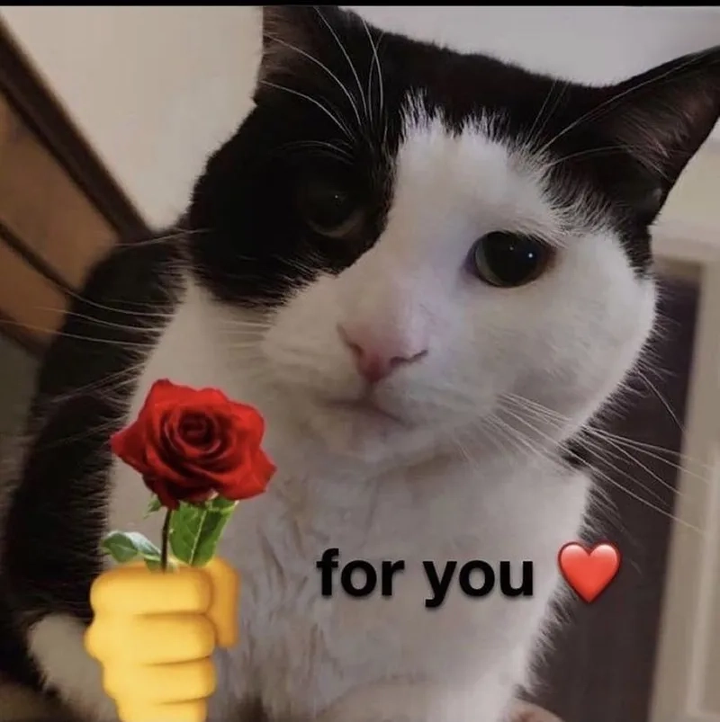 Meme ảnh bé gái đáng yêu hàn quốc khiến bạn không thể không yêu thích