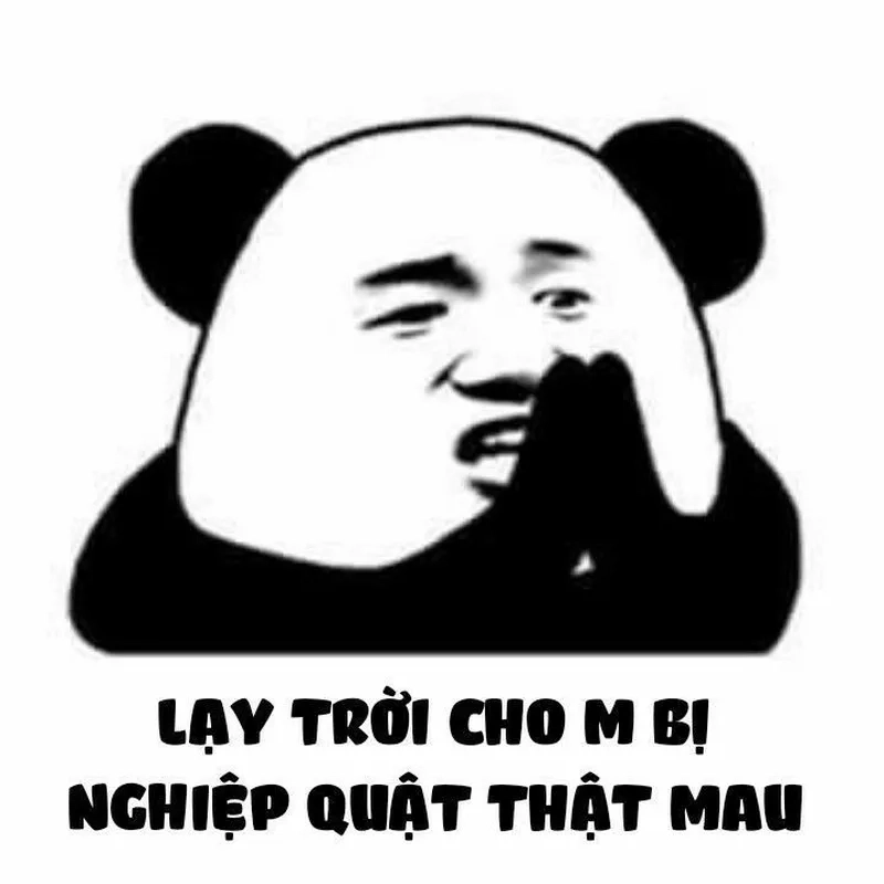 Meme gấu trúc mang lại niềm vui cho ngày của bạn