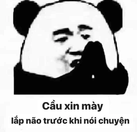 Meme hài gấu trúc khiến bạn cảm thấy vui vẻ
