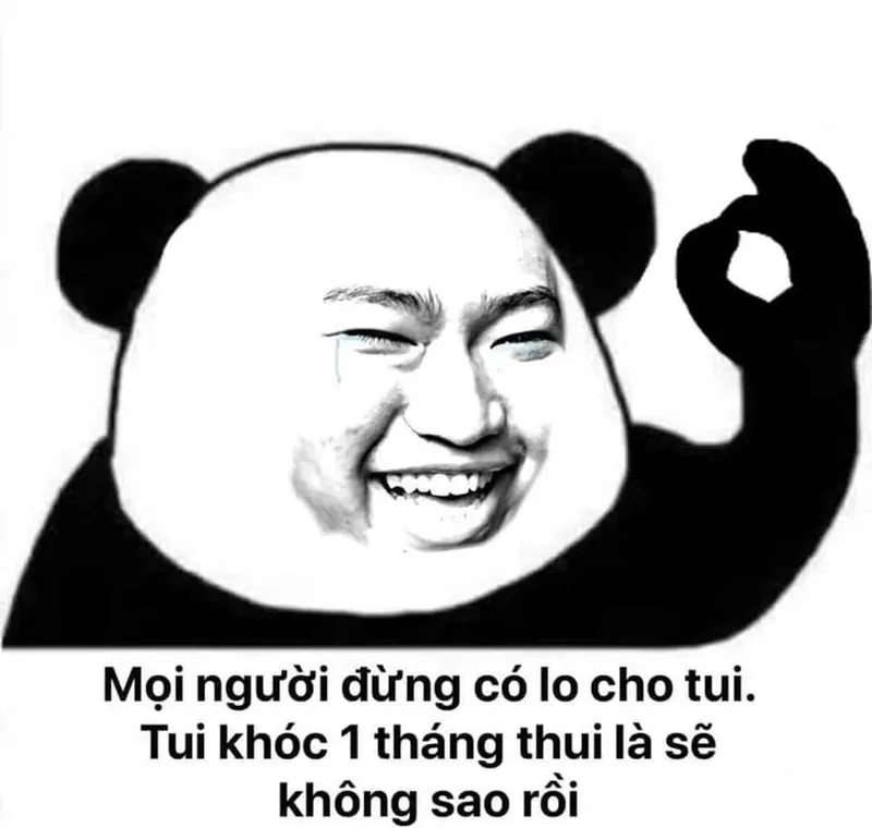 Meme con gấu màu hồng mang lại sự vui vẻ cho bạn