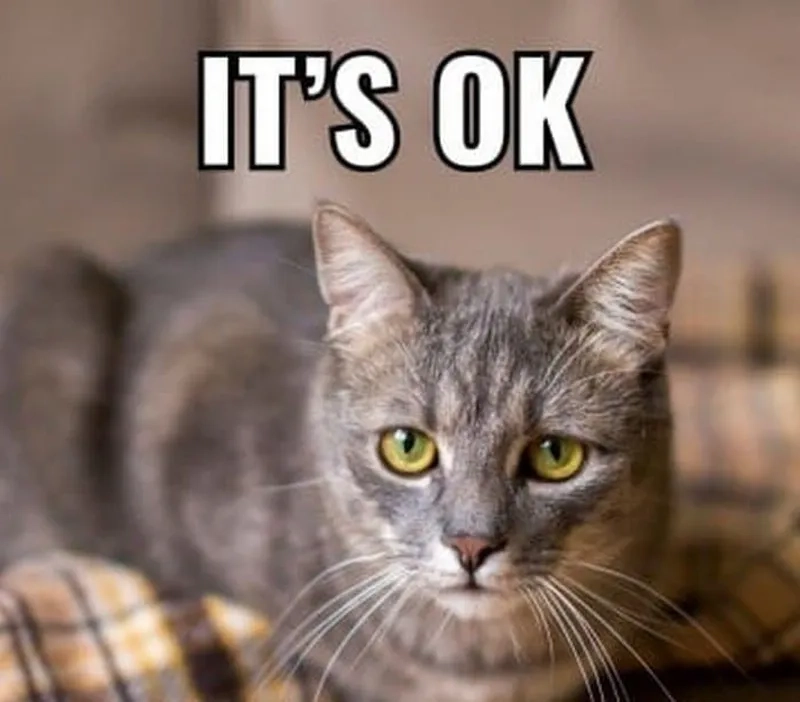 Meme oki khiến mọi người không thể nhịn cười
