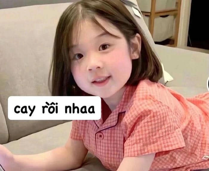 Meme tức giận mèo mang lại tiếng cười cho những ai yêu thích hài hước