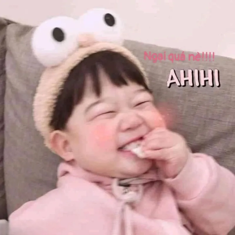 Meme đáng lo ngại khiến bạn không thể không yêu thích