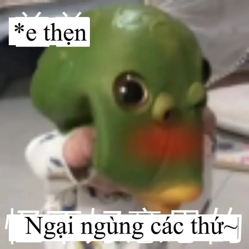 Meme anh da đen gãi đầu ngại khiến mọi người không thể nhịn cười