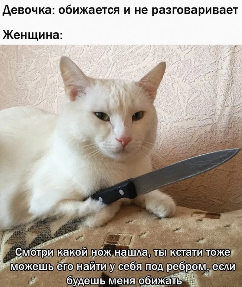 Cậu vàng meme cầm súng mang lại tiếng cười cho những ai yêu thích hài hước