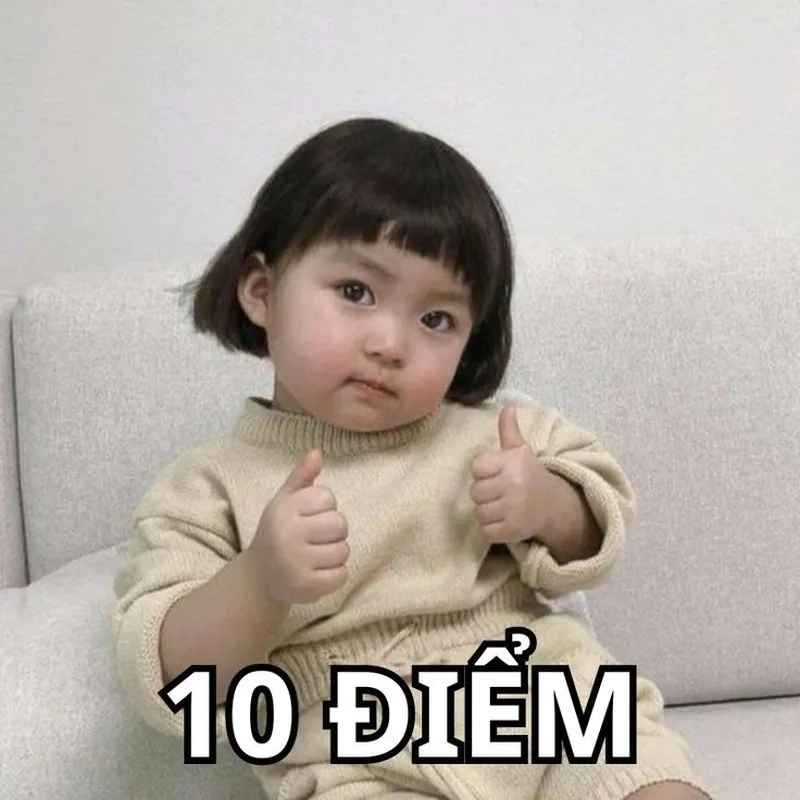 Mèo đáng yêu meme mang lại tiếng cười cho những ai yêu thích động vật