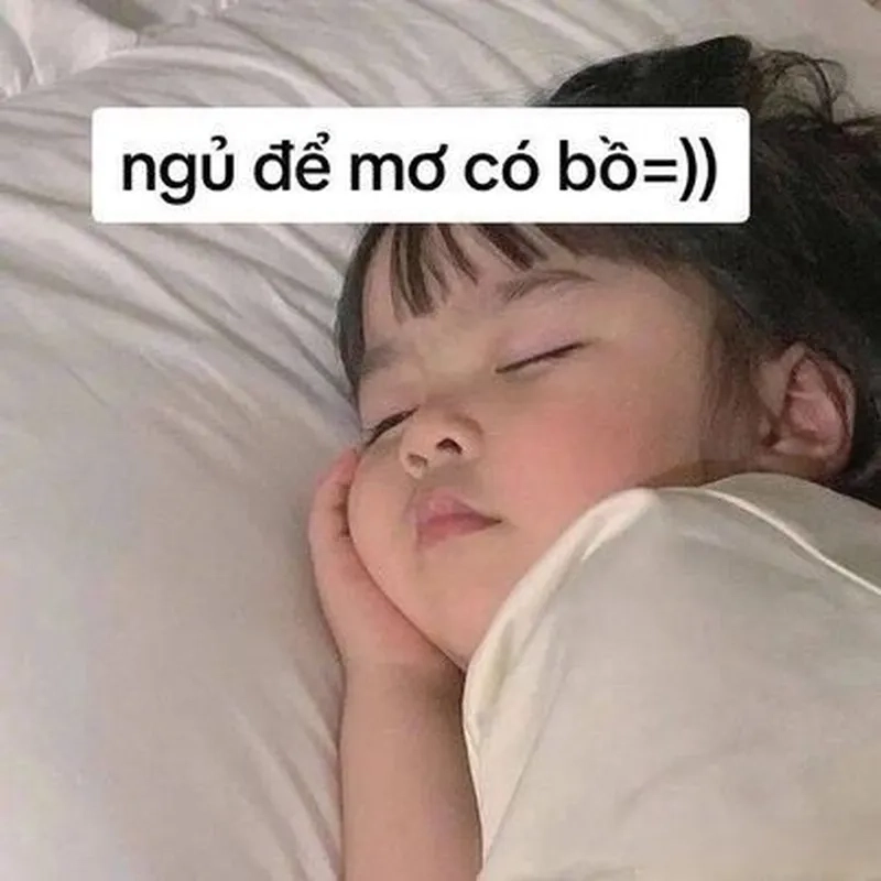 Meme ngộ nghĩnh ảnh mèo cute mang lại những khoảnh khắc vui vẻ
