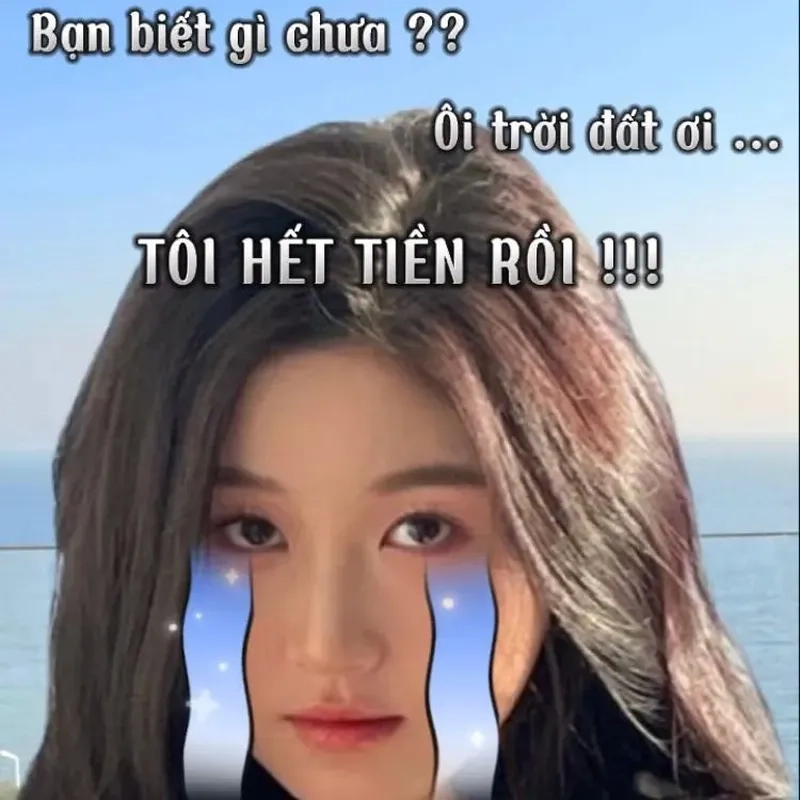 Meme mèo tiền khiến mọi người không thể nhịn cười
