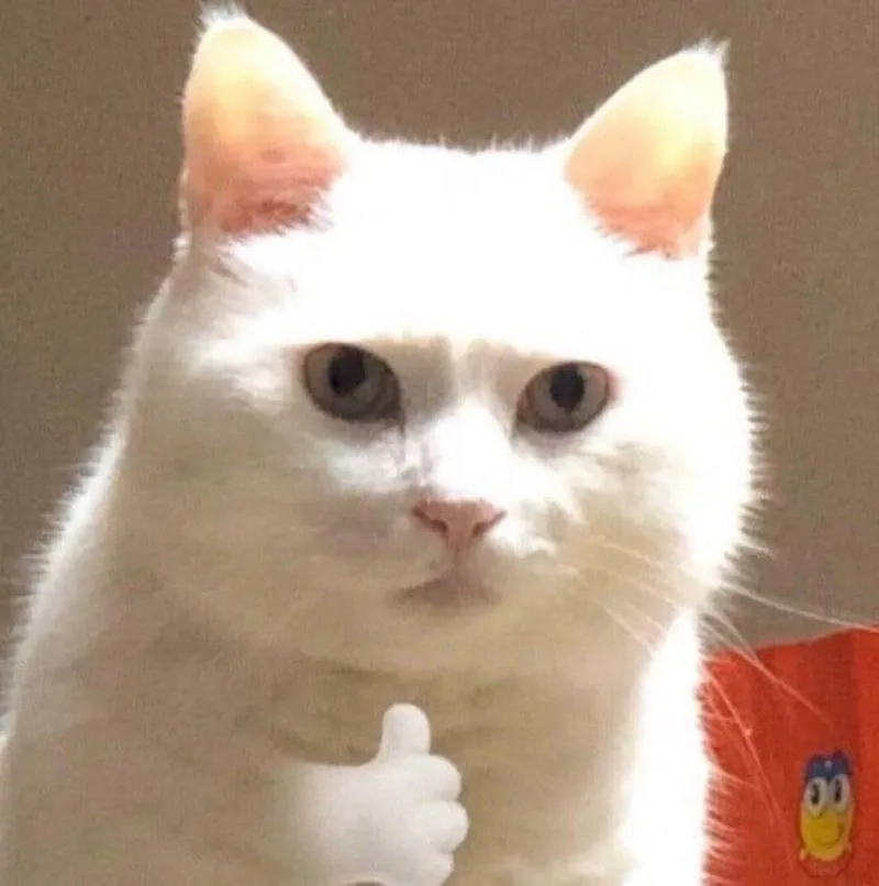 Meme like bằng chân mang lại tiếng cười cho những ai yêu thích hài hước