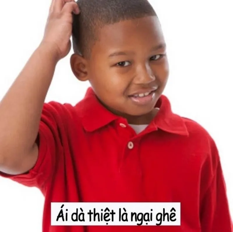 Hãy khóc đi khóc đi đừng ngại ngùng meme mang lại sự đồng cảm