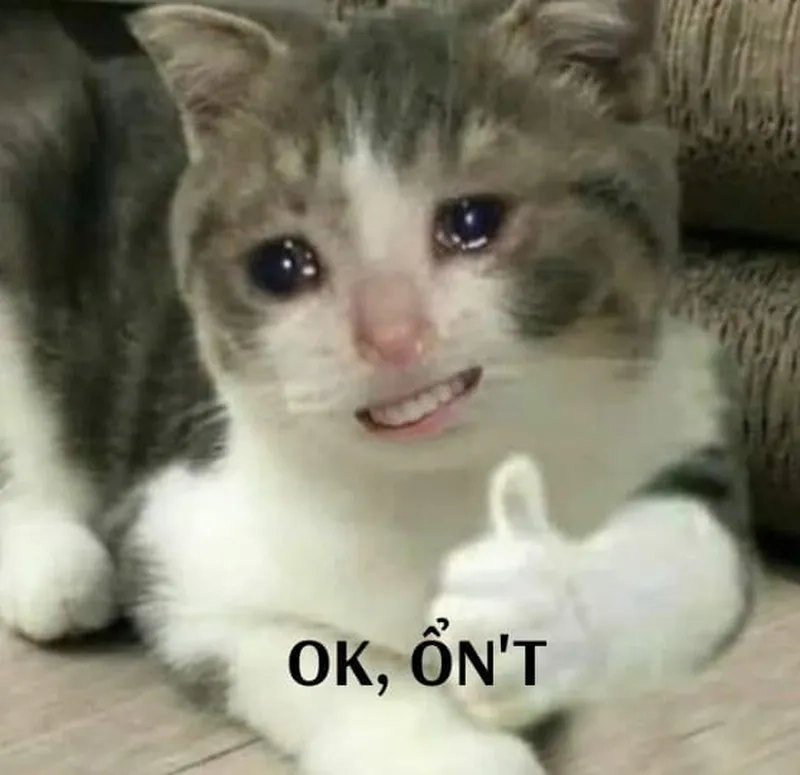 Meme ok em thể hiện sự đáng yêu trong từng chi tiết