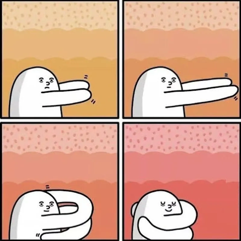 Meme mèo ôm nhau khiến trái tim bạn tan chảy với sự dễ thương