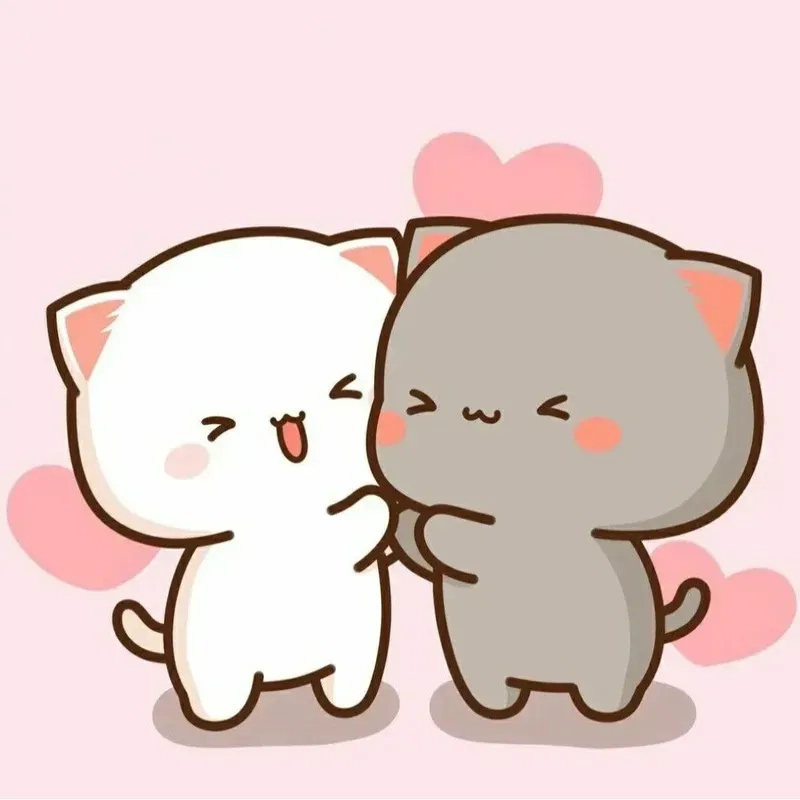 Mèo meme ôm an ủi thể hiện sự ấm áp trong những lúc khó khăn