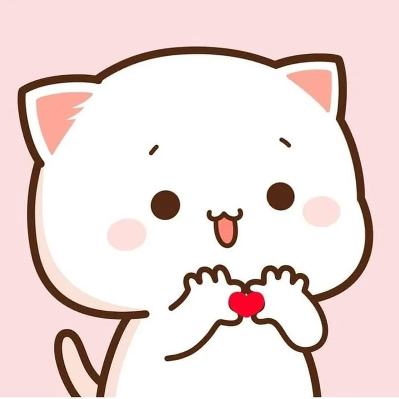 Meme mèo trái tim khiến mọi người không thể nhịn cười