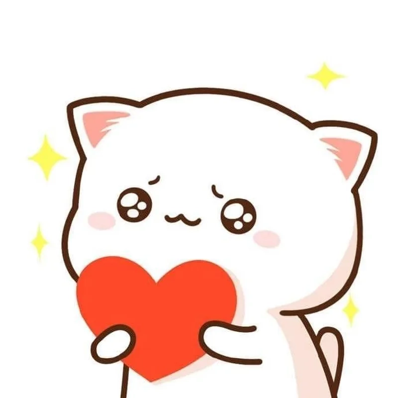 Meme ảnh mèo cute trái tim khiến trái tim bạn tan chảy