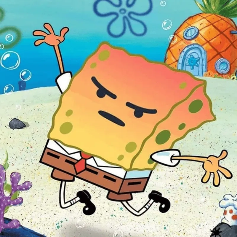 Meme mèo tom tức giận mang lại tiếng cười cho những ai yêu thích mèo