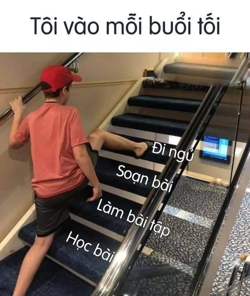 Meme chúc ngủ ngon dễ thương khiến bạn cảm thấy ấm áp