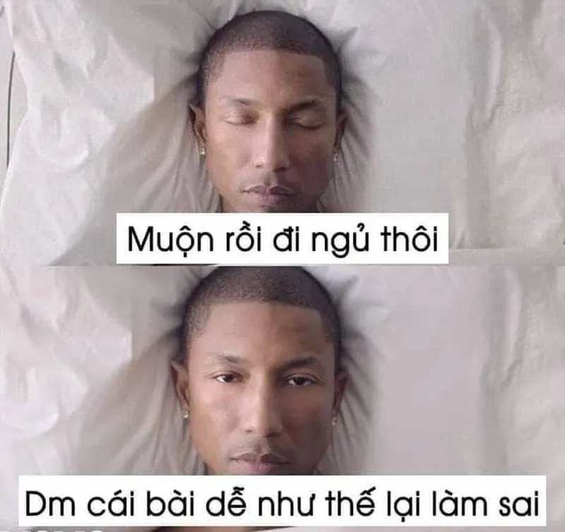 Meme chúc ngủ ngon hài hước giúp bạn thư giãn trước khi ngủ