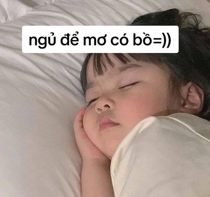 Meme ngủ cute giúp bạn có giấc ngủ ngon hơn