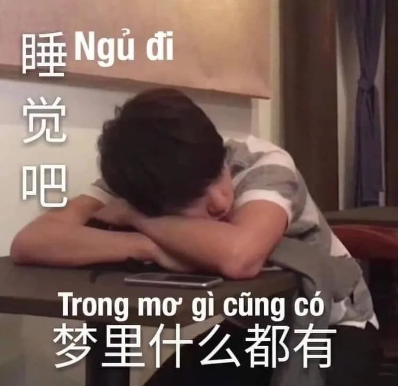Meme công chúa ngủ trong rừng khiến bạn cảm thấy thư giãn
