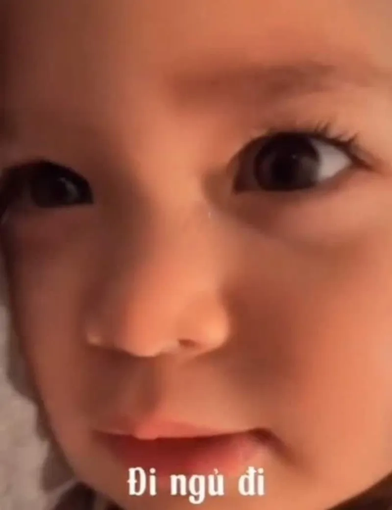 Meme ngủ ngon cute giúp bạn có giấc ngủ ngon hơn