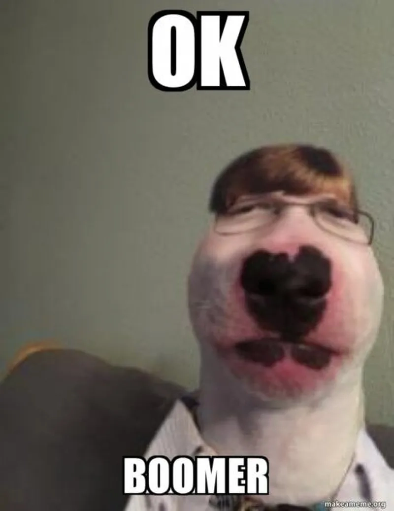 Meme con mèo ok khiến bạn không thể không yêu thích sự đáng yêu