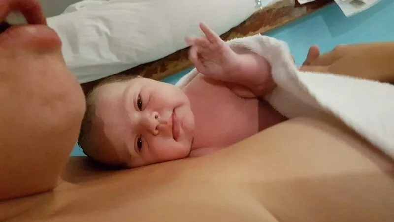 Meme mèo oke mang lại những khoảnh khắc vui vẻ cho người xem