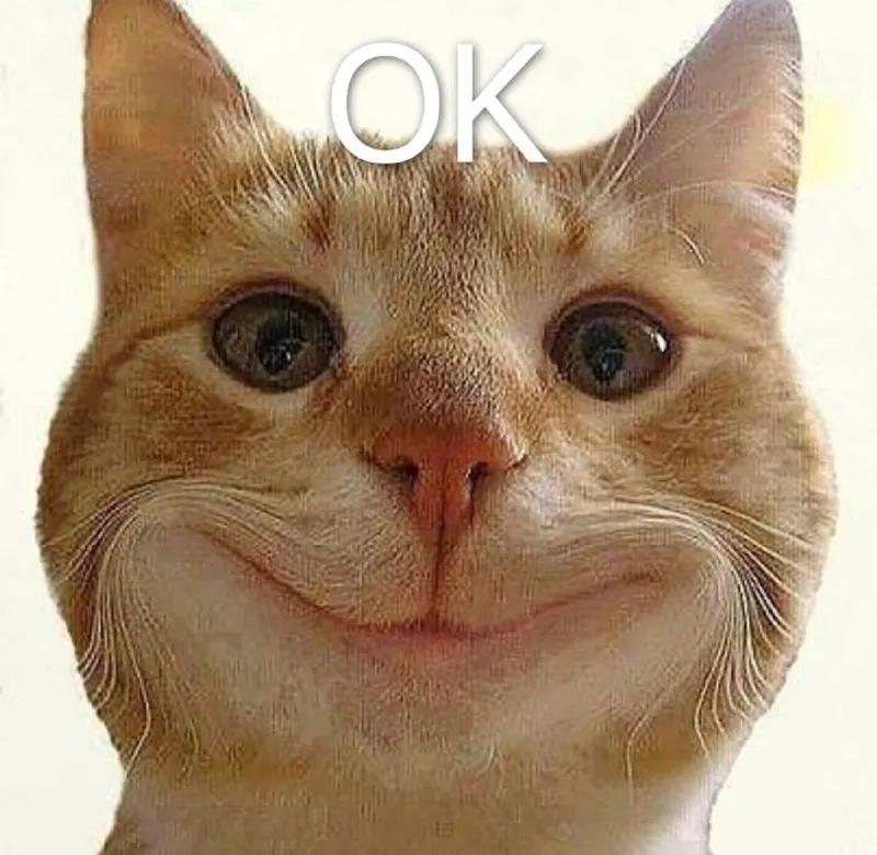 Ok meme mèo khiến bạn không thể không mỉm cười với sự đáng yêu