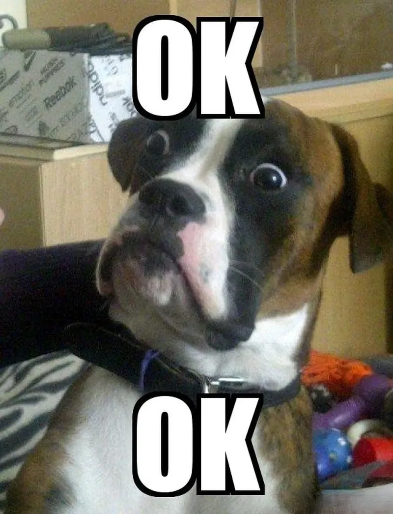 Are you ok bro meme template là lựa chọn hoàn hảo cho những ai yêu thích meme