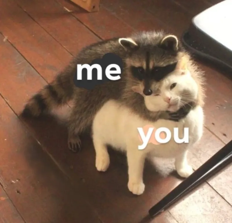 Meme ôm cute khiến trái tim bạn tan chảy với sự đáng yêu