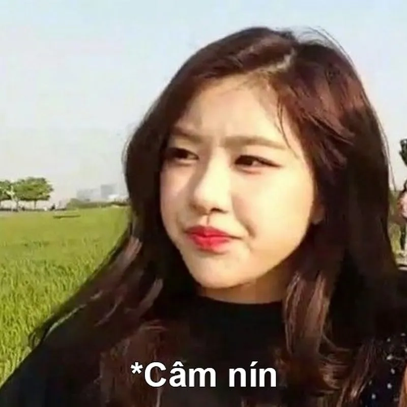 Rose blackpink meme khiến mọi người không thể nhịn cười