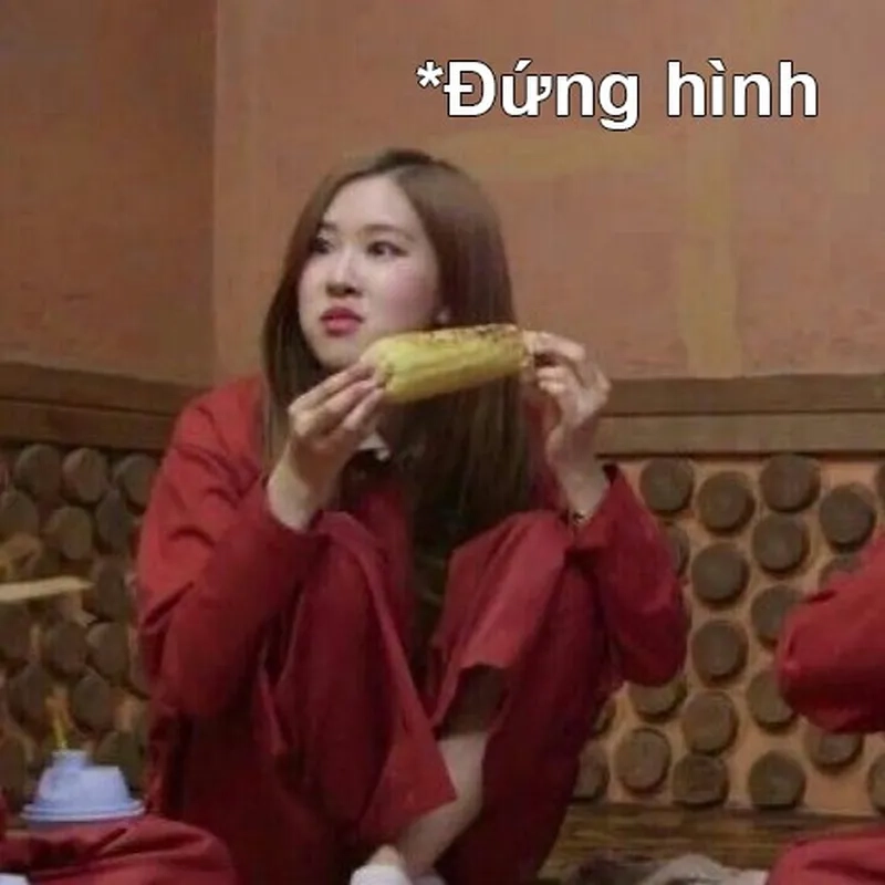 Ảnh meme rose mang lại tiếng cười cho những ai yêu thích hài hước