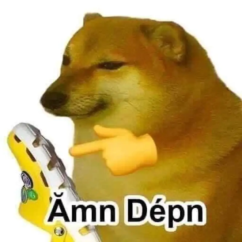 Chó shiba meme mặt hài hước khiến mọi người không thể nhịn cười