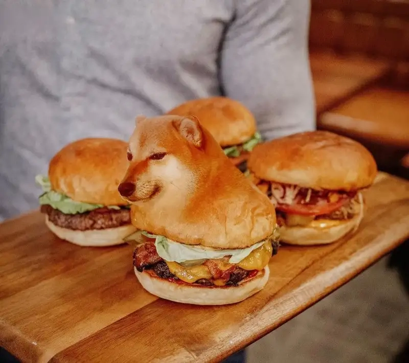 Shiba inu shiba inu dog meme dễ thương khiến ai cũng thích