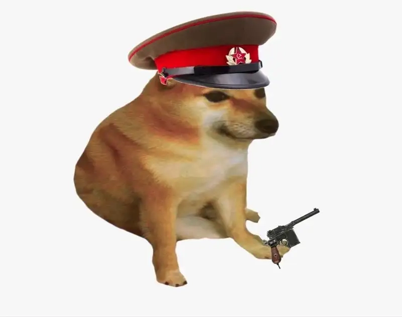 Shiba inu dog meme mang đến những khoảnh khắc thú vị