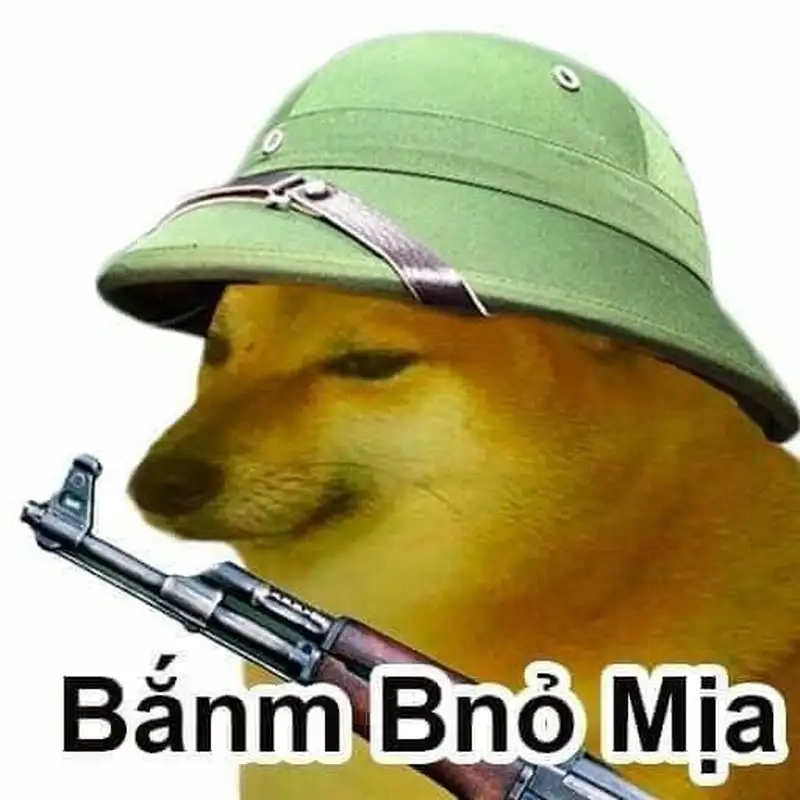 Dog meme shiba dễ thương giúp bạn chia sẻ niềm vui