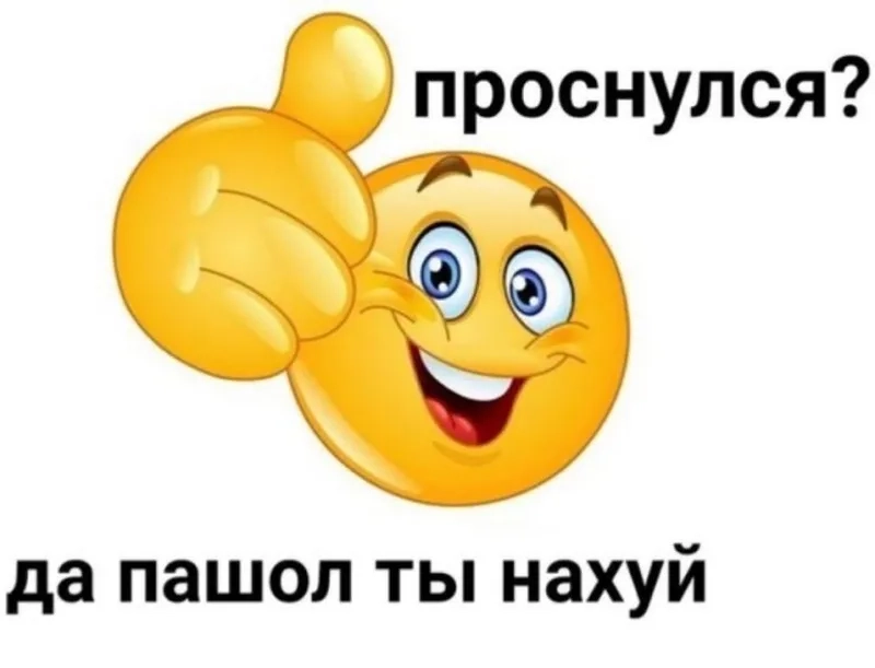 Meme mèo khóc like chạm đến trái tim của những người yêu mèo