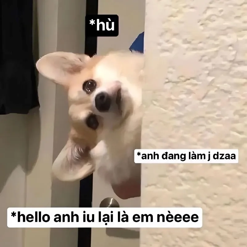 Cute meme tình yêu giúp bạn thể hiện tình cảm một cách dễ thương