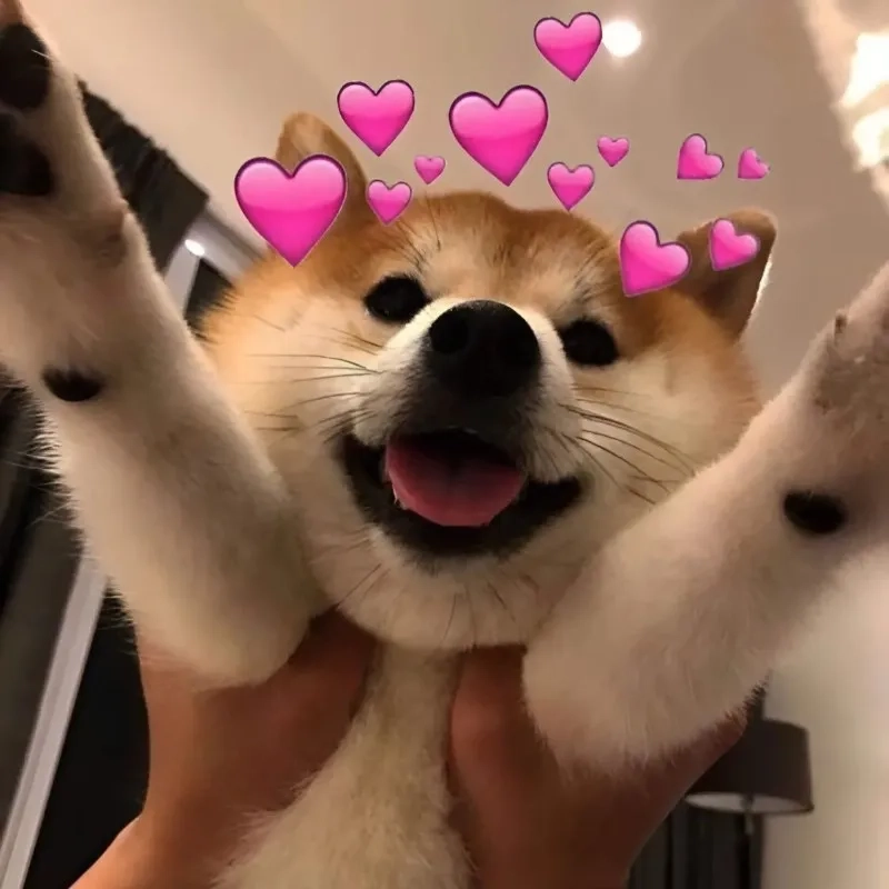 Ảnh meme cute tình yêu là cách tuyệt vời để chia sẻ cảm xúc