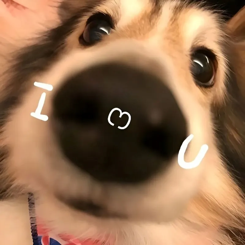 Meme hài về tình yêu khiến bạn không thể nhịn cười