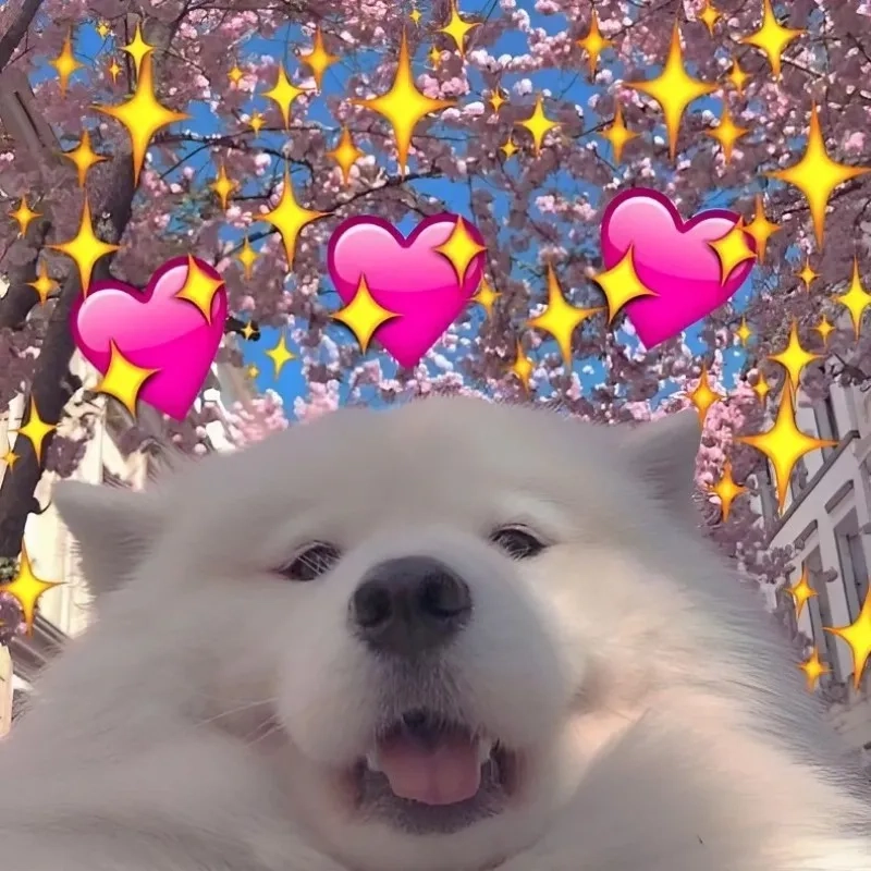 Meme tình yêu hài giúp bạn thư giãn và giải trí