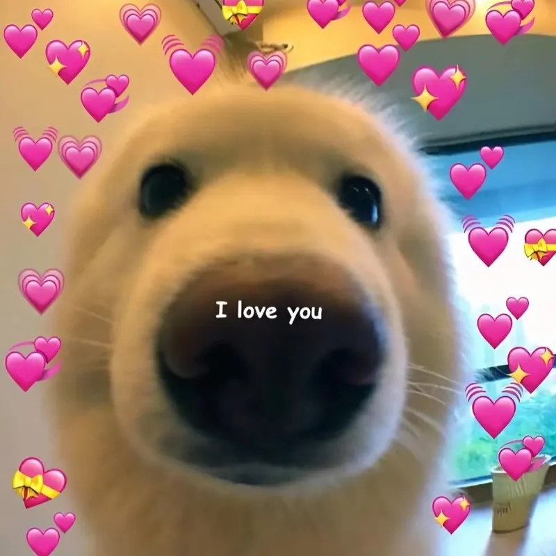 Meme hài tình yêu mang đến những khoảnh khắc thú vị