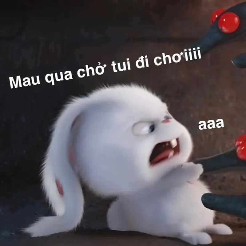 Tình yêu to bự meme giúp bạn thể hiện tình cảm một cách hài hước
