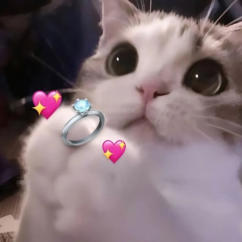 Meme về tình yêu mang đến những khoảnh khắc đáng nhớ