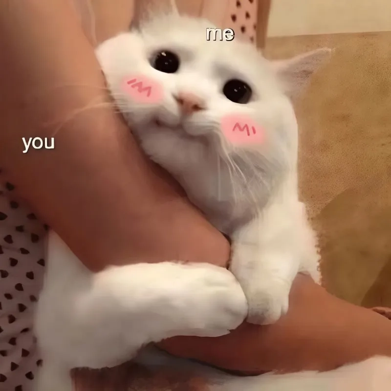 Ngồi im tình yêu sẽ đến meme khuyến khích bạn kiên nhẫn chờ đợi