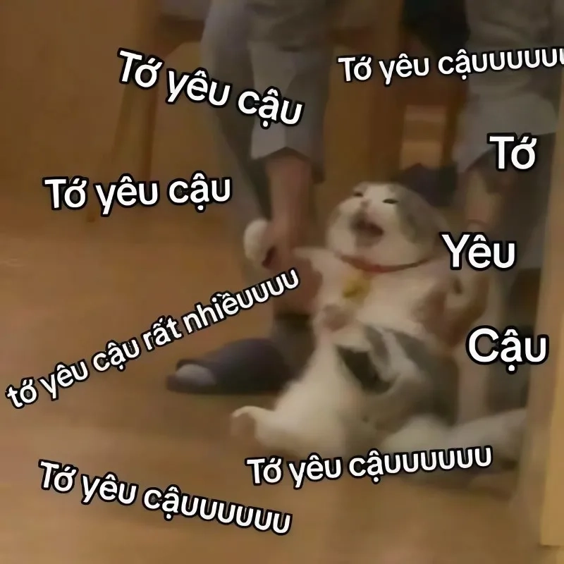 Meme sạc pin tình yêu giúp bạn nạp lại năng lượng cho trái tim