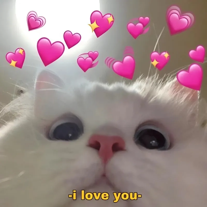 Meme ngồi im tình yêu sẽ đến khiến bạn cảm thấy hy vọng