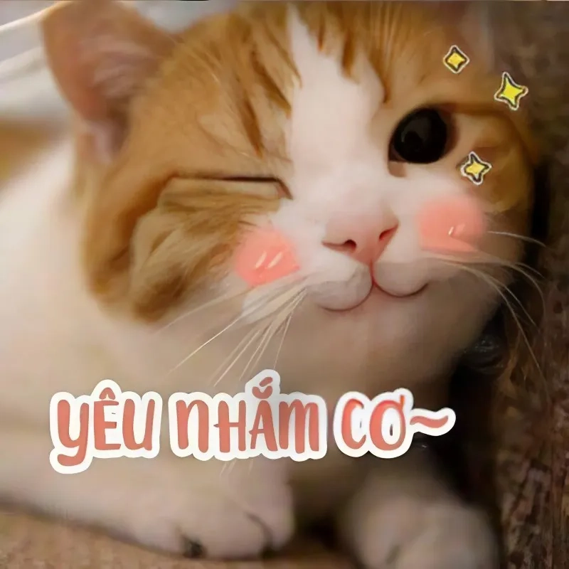 Tình yêu ảnh meme em bé có chữ dễ thương khiến mọi người mỉm cười